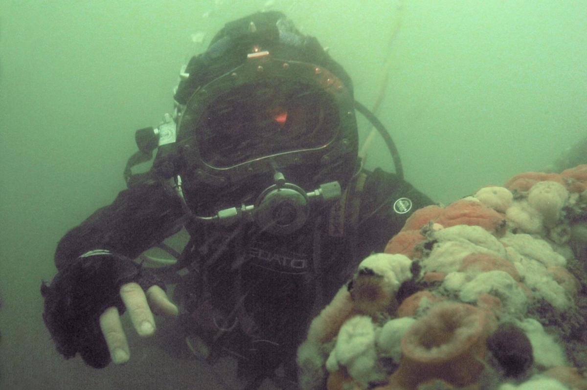 Diving Investigation | Archaeological Services | Wessex Archaeology